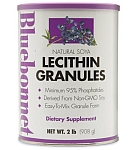 Natural Soya Lecithin Granules