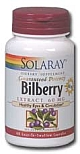 Solaray Bilberry Extract 60 mg 120 Capsules