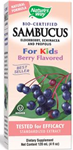 Natures Way Sambucus for Kids 4 fl oz (120ml)